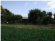 1 Doyle Street, Quirindi NSW 2343
