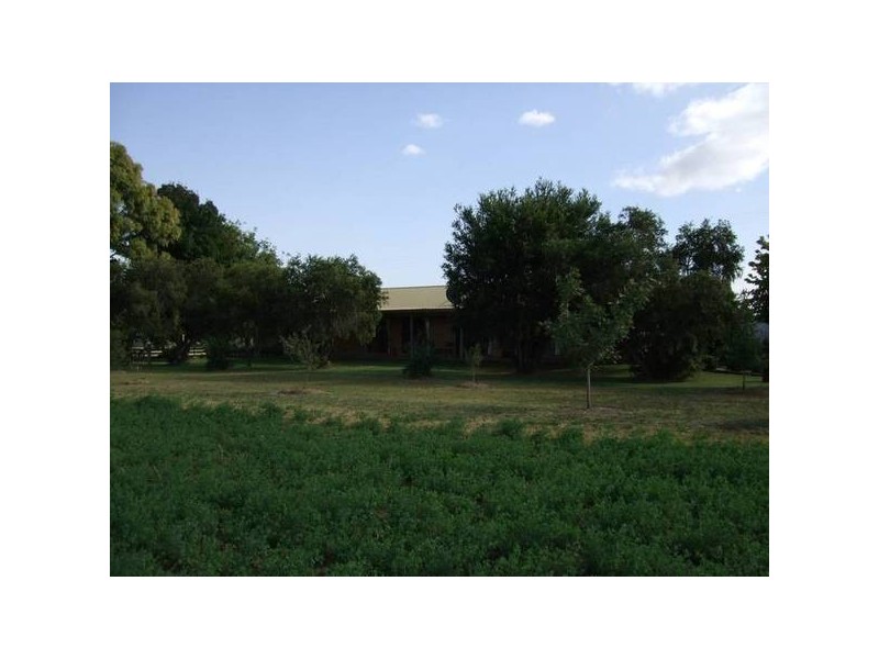 1 Doyle Street, Quirindi NSW 2343