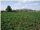 1 Doyle Street, Quirindi NSW 2343