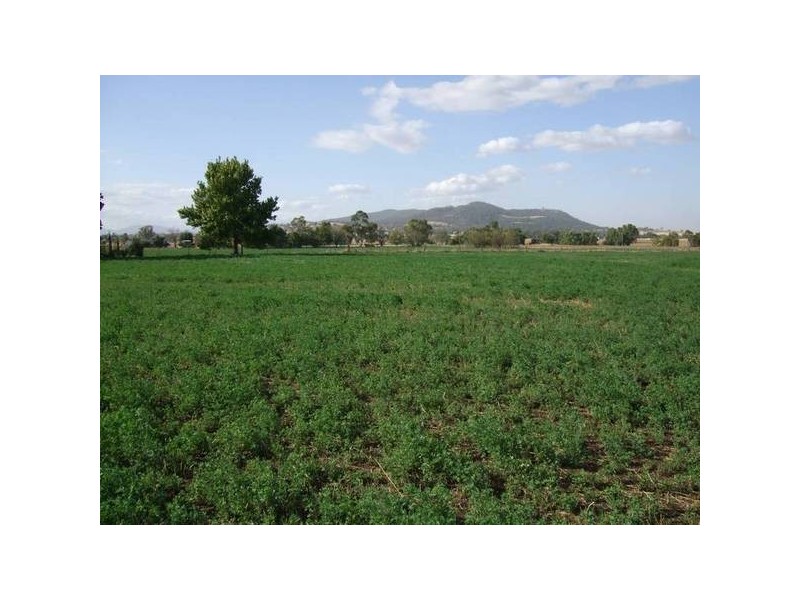 1 Doyle Street, Quirindi NSW 2343