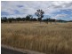 Lot 11, 1 Greentree Drive, Quirindi NSW 2343