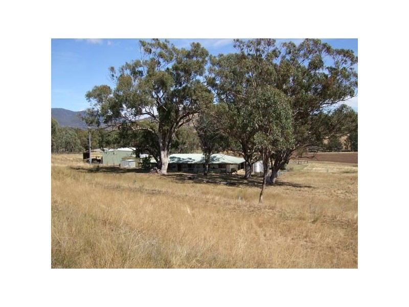 657 Borambil Creek Road, Willow Tree NSW 2339