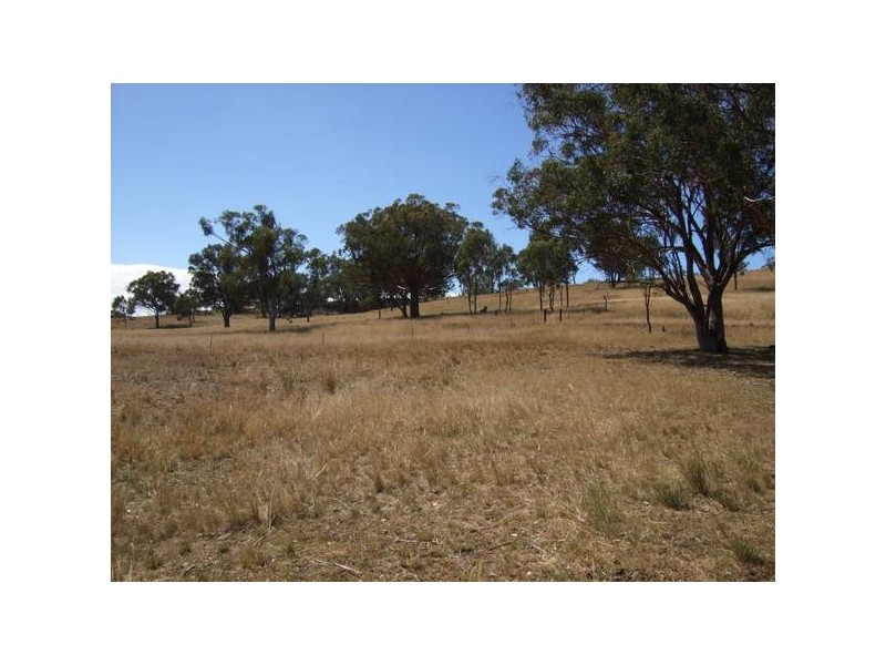 657 Borambil Creek Road, Willow Tree NSW 2339