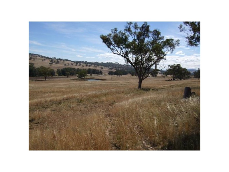 657 Borambil Creek Road, Willow Tree NSW 2339