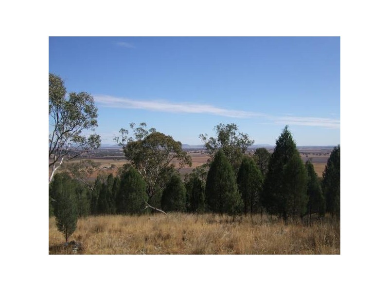 2086 Kamilaroi Highway, Quirindi NSW 2343