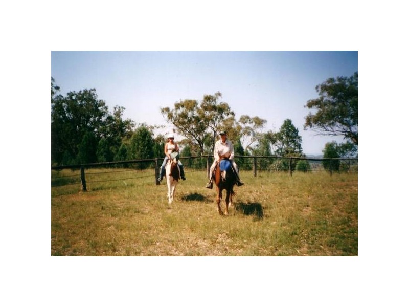 2086 Kamilaroi Highway, Quirindi NSW 2343