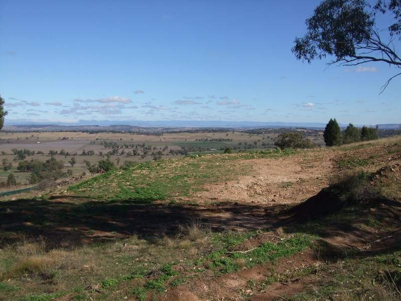 55 Ray Carter Drive, Quirindi NSW 2343