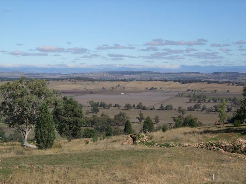 55 Ray Carter Drive, Quirindi NSW 2343