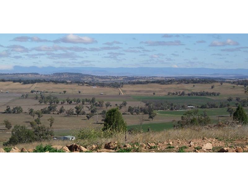 55 Ray Carter Drive, Quirindi NSW 2343