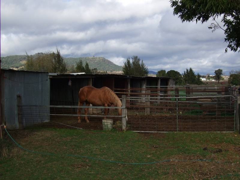 26 Andrew Street, Quirindi NSW 2343