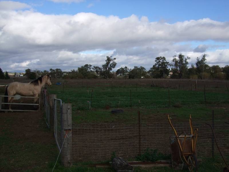 26 Andrew Street, Quirindi NSW 2343