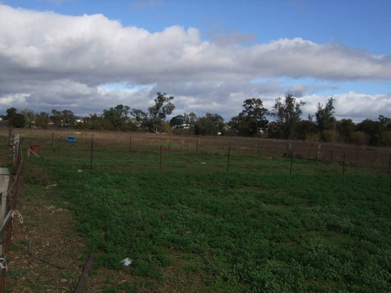 26 Andrew Street, Quirindi NSW 2343