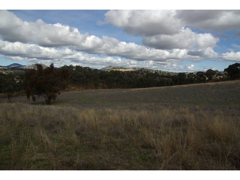 10075 New England Highway, Wallabadah NSW 2343