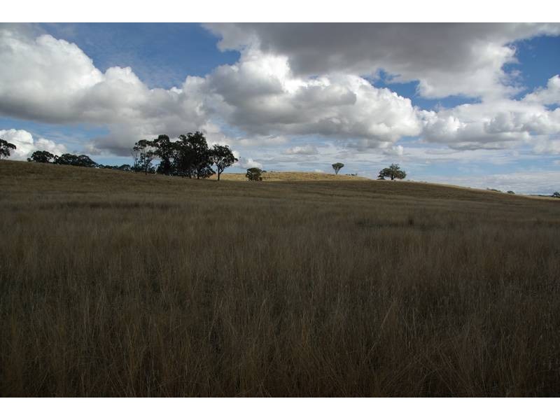 10075 New England Highway, Wallabadah NSW 2343