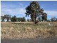 8 Paula’s Place, Quirindi NSW 2343