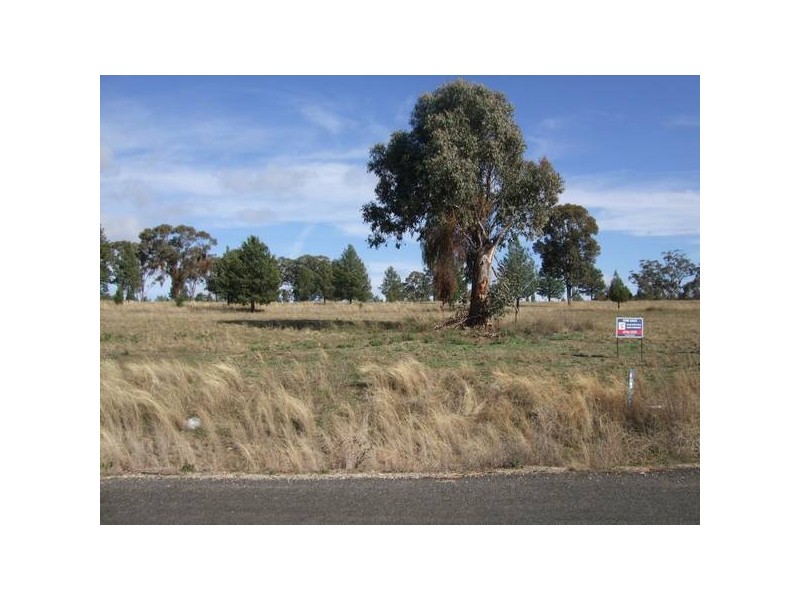 8 Paula’s Place, Quirindi NSW 2343