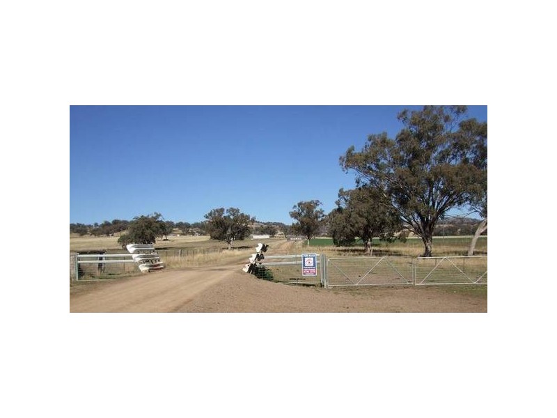 Woodton Road, Wallabadah NSW 2343