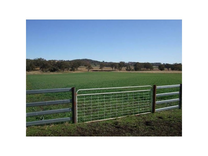 Woodton Road, Wallabadah NSW 2343