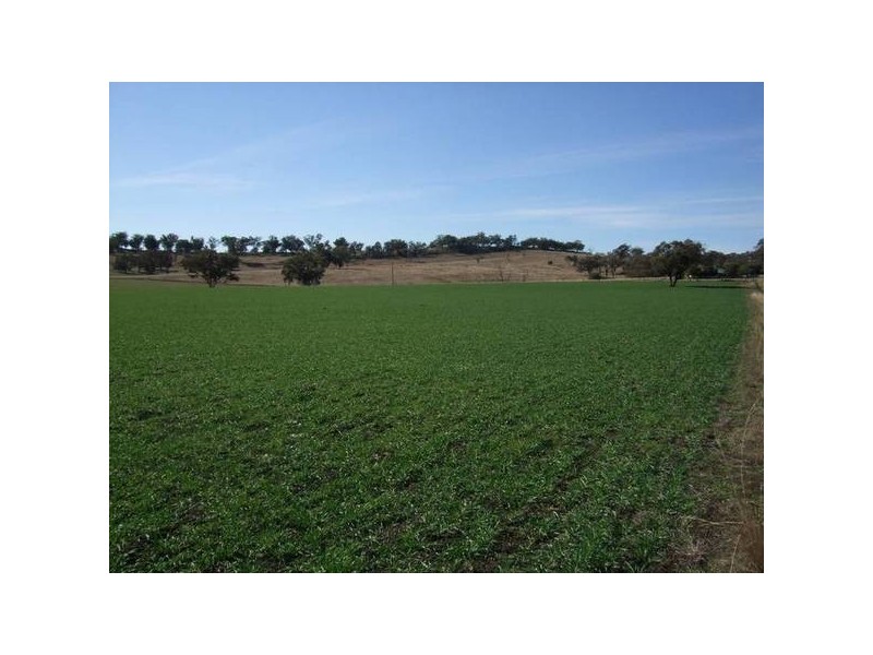 Woodton Road, Wallabadah NSW 2343