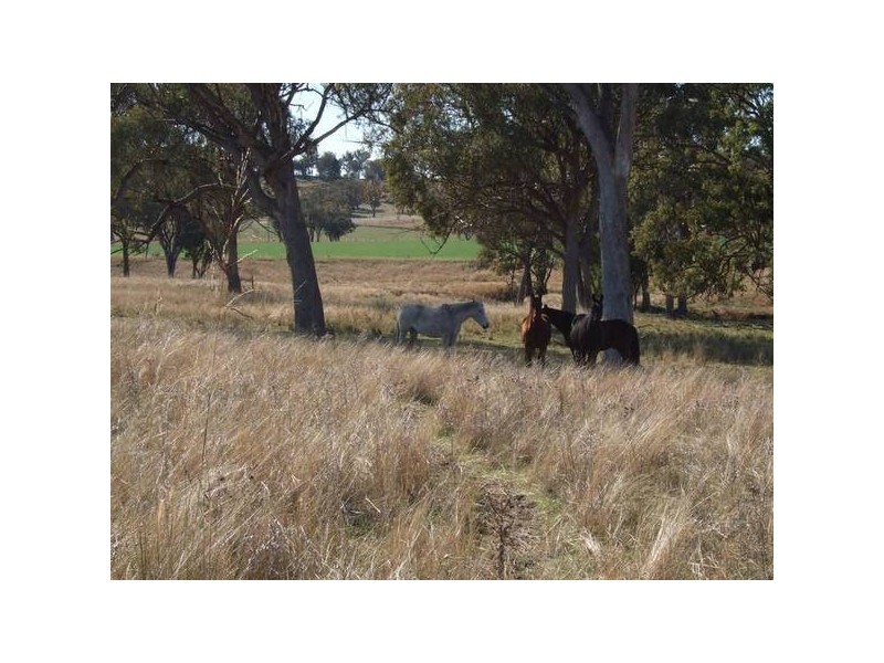 Woodton Road, Wallabadah NSW 2343