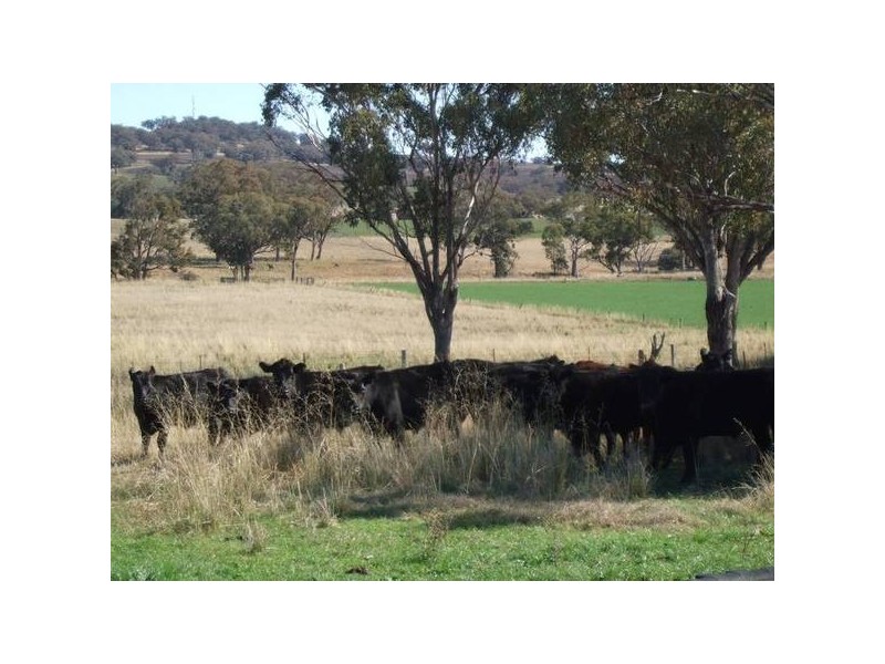 Woodton Road, Wallabadah NSW 2343