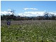 17 Green Crescent, Quirindi NSW 2343