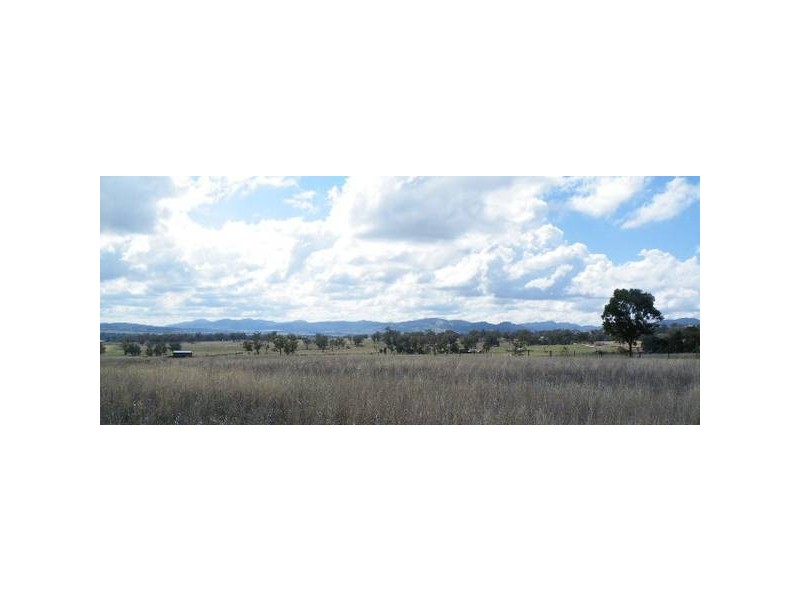 Lot 42, 55 Corboulds Lane, Quirindi NSW 2343