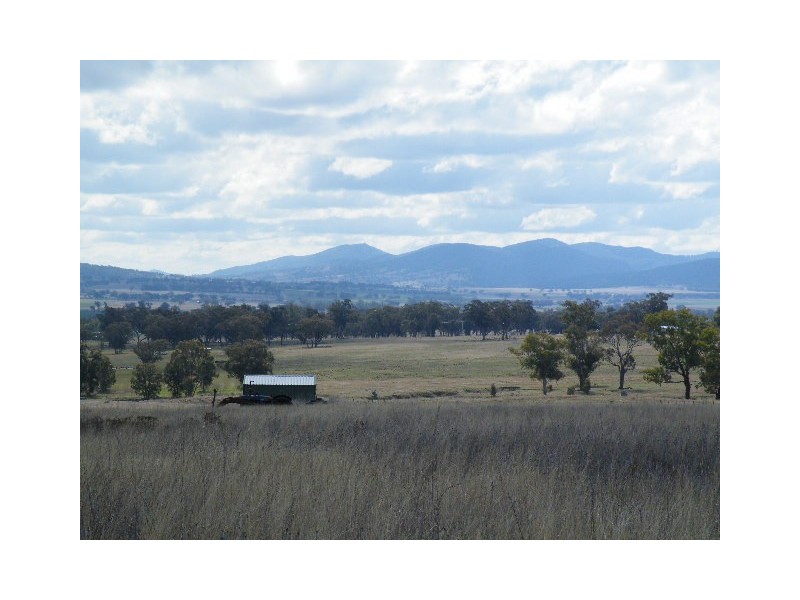 Lot 42, 55 Corboulds Lane, Quirindi NSW 2343