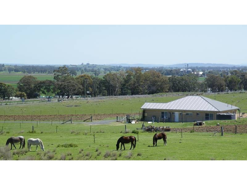 8 Kamilaroi HWY, Quirindi NSW 2343
