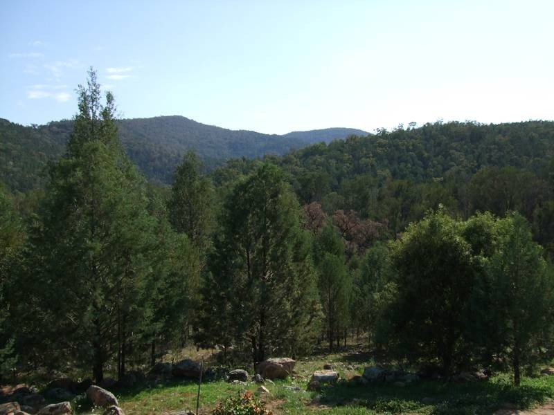 944 Lowes Creek Road, Quirindi NSW 2343