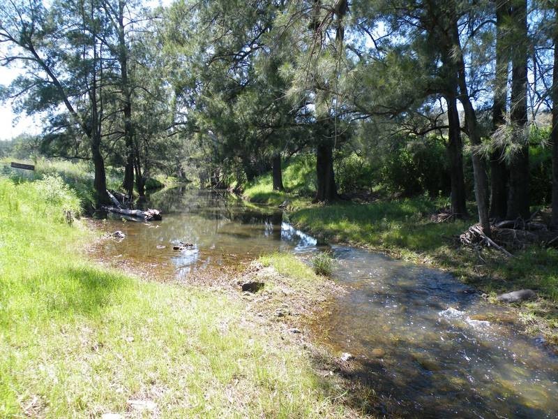 Lot 291,  Lowes Creek Road, Quirindi NSW 2343
