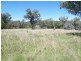 Lot 291,  Lowes Creek Road, Quirindi NSW 2343