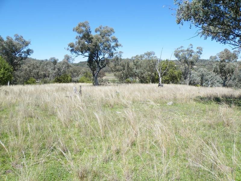 Lot 291,  Lowes Creek Road, Quirindi NSW 2343