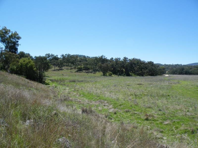 Lot 291,  Lowes Creek Road, Quirindi NSW 2343