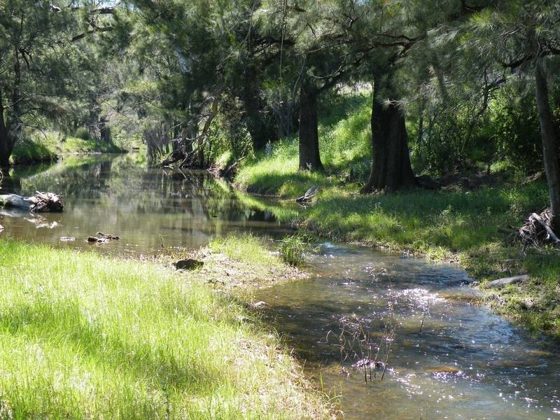 Lot 291,  Lowes Creek Road, Quirindi NSW 2343