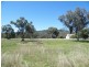 292 Lowes Creek Road, Quirindi NSW 2343