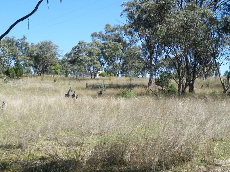 292 Lowes Creek Road, Quirindi NSW 2343