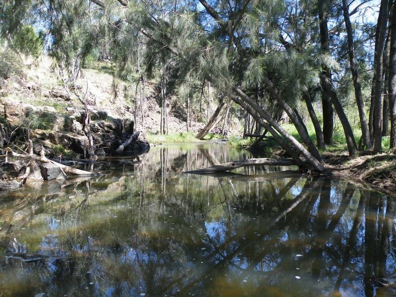 292 Lowes Creek Road, Quirindi NSW 2343