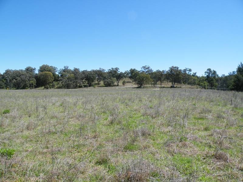 292 Lowes Creek Road, Quirindi NSW 2343