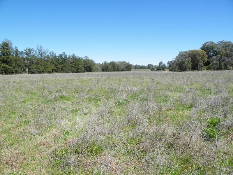 292 Lowes Creek Road, Quirindi NSW 2343