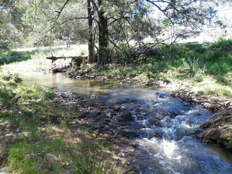 292 Lowes Creek Road, Quirindi NSW 2343