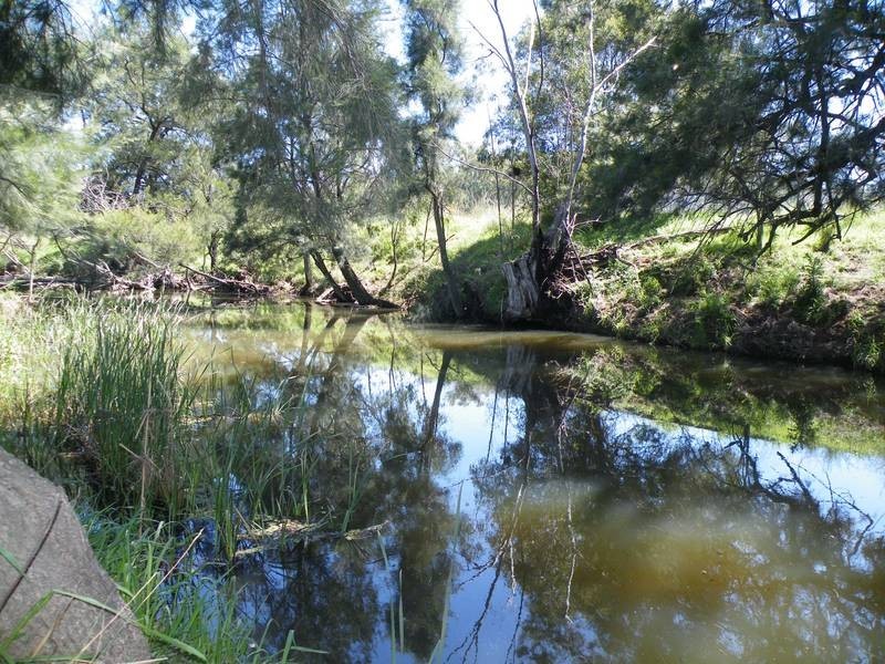 292 Lowes Creek Road, Quirindi NSW 2343