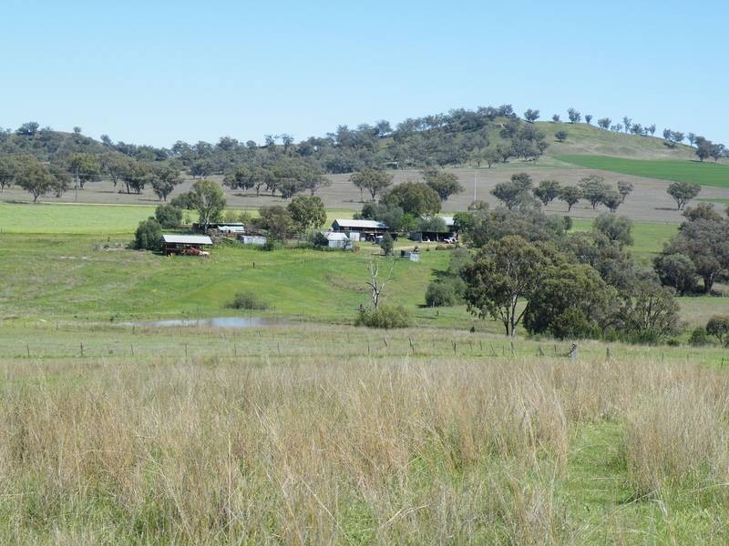 . Black Gully Road, Werris Creek NSW 2341