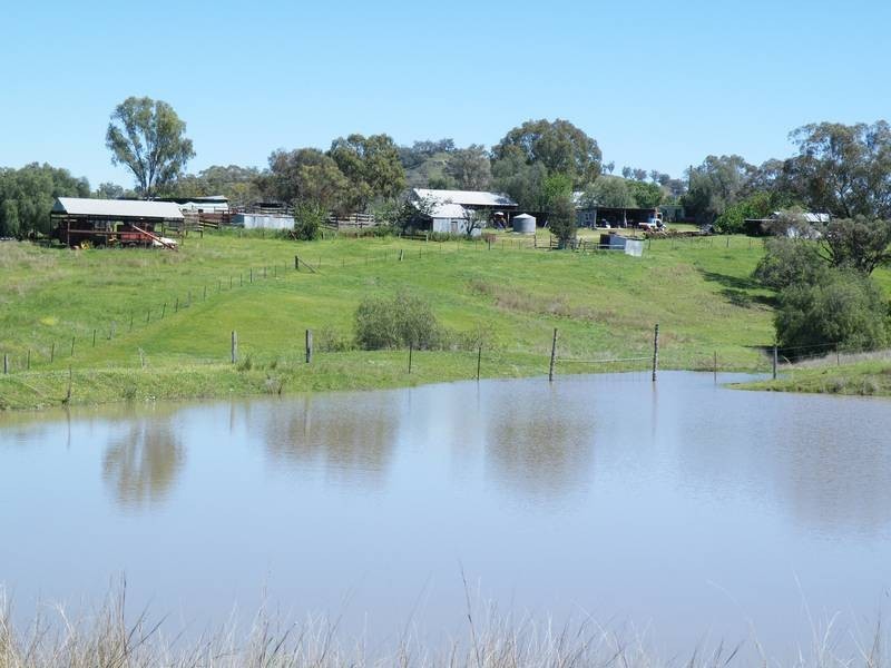 . Black Gully Road, Werris Creek NSW 2341