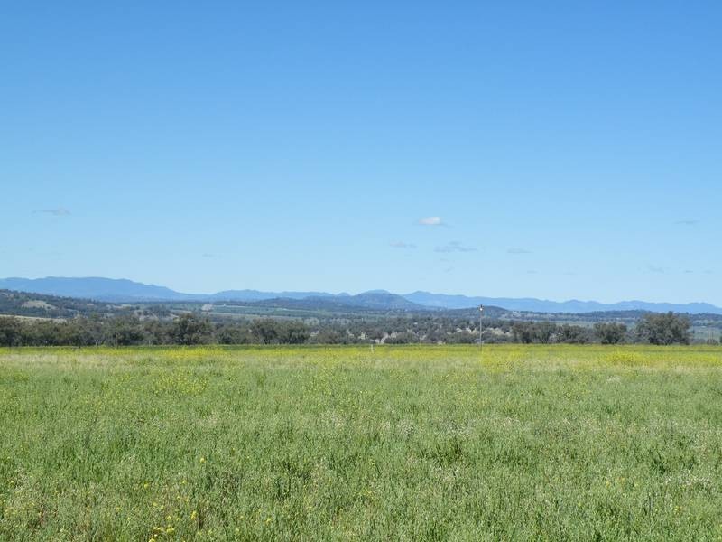 . Black Gully Road, Werris Creek NSW 2341