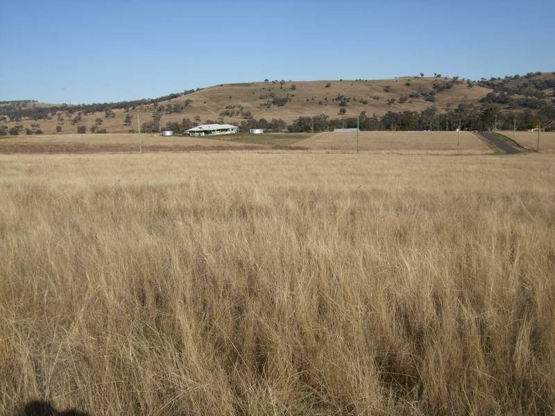 5 Raphie Howard Drive, Willow Tree NSW 2339