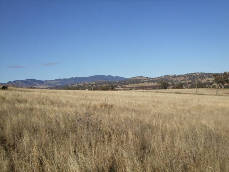 5 Raphie Howard Drive, Willow Tree NSW 2339