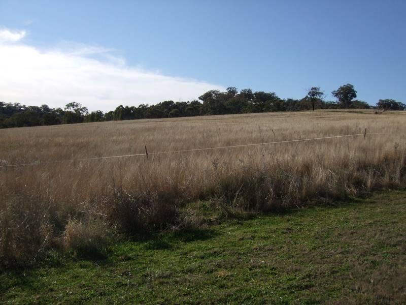 5 Raphie Howard Drive, Willow Tree NSW 2339