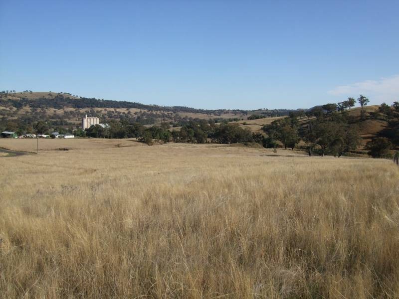 5 Raphie Howard Drive, Willow Tree NSW 2339