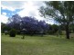 21 Breeza Street, Quirindi NSW 2343
